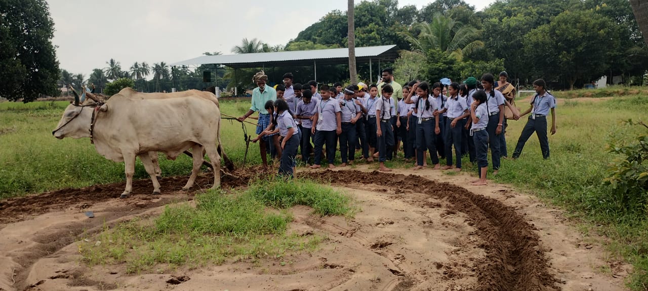 Educational field trip