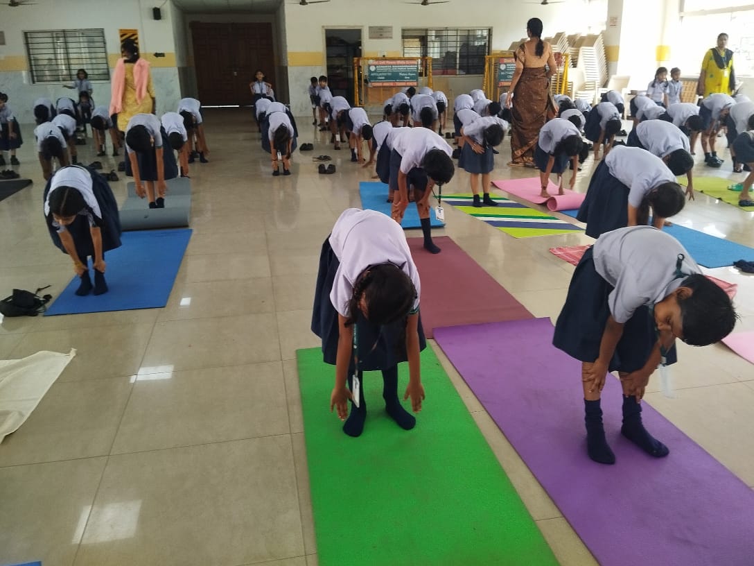 YOGA SESSIONS C -1 & 2